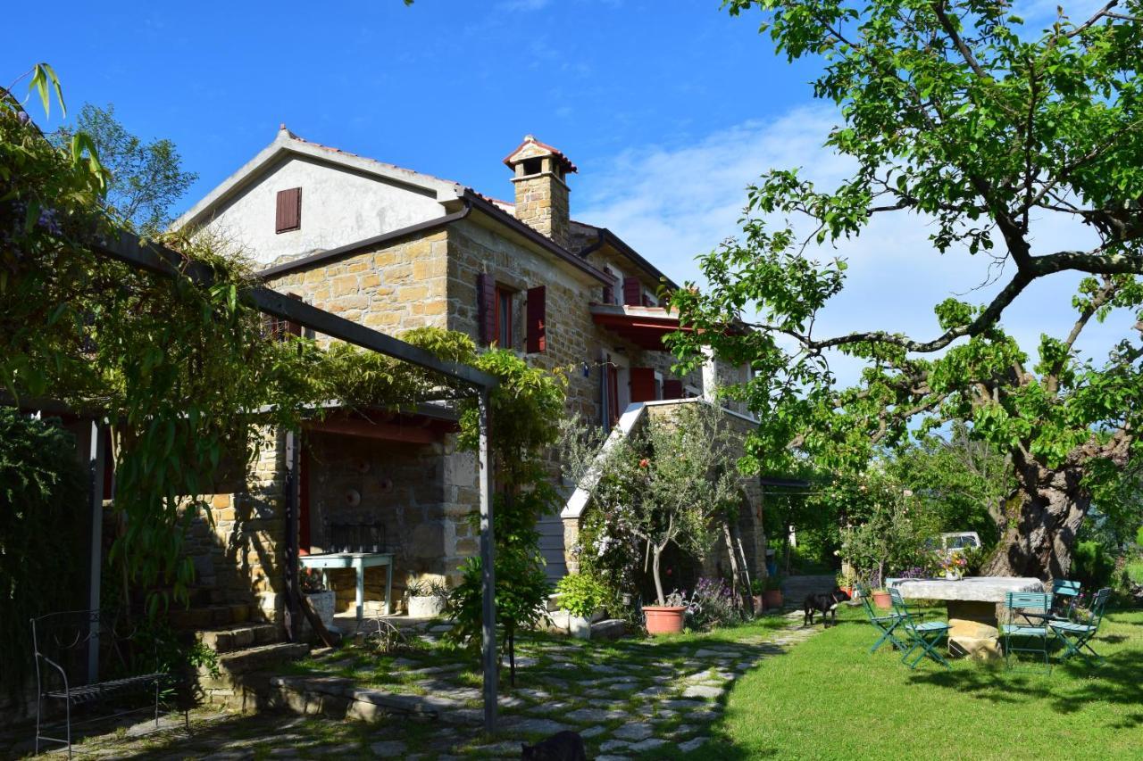 Apartman Casa Marsic Oprtalj Zewnętrze zdjęcie